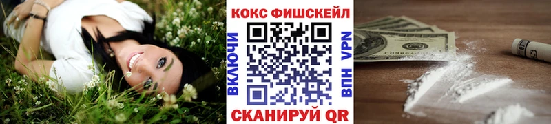 купить закладку  Камень-на-Оби  mega онион  Кокаин VHQ 