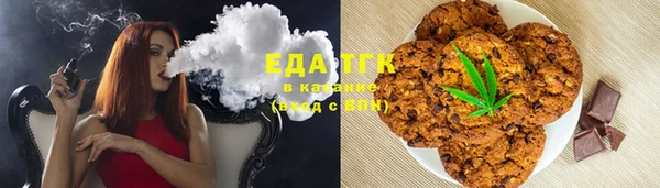 индика Абдулино