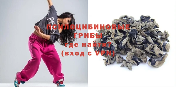 гашик Абинск
