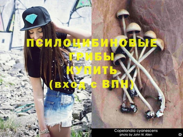 гашик Абинск