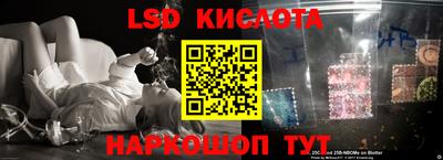 крисы Гатчина