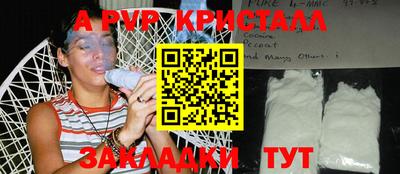 крисы Гатчина