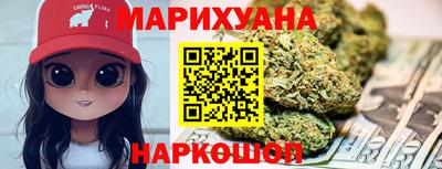 крисы Гатчина