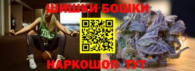 крисы Гатчина